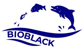 BIOBLACK Logo