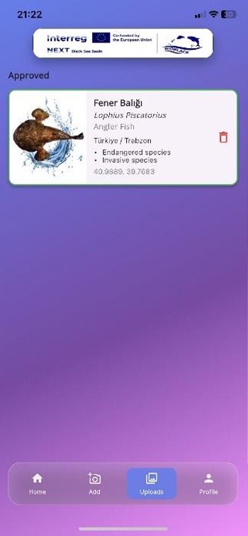 Uploads screen