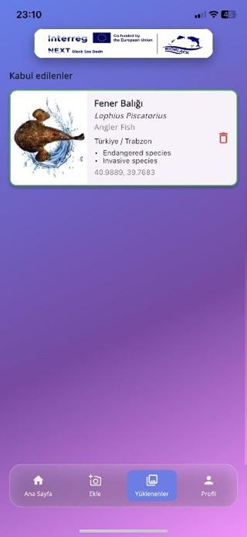 Uploads screen